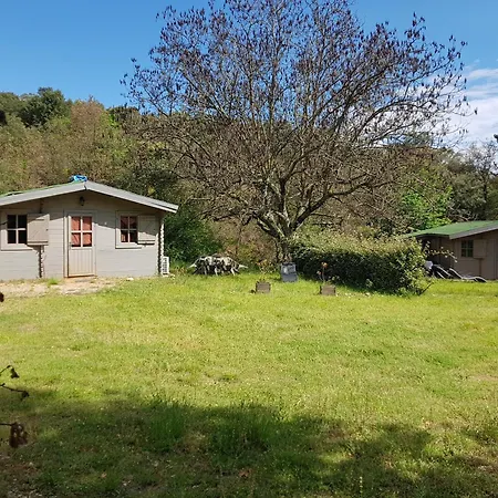 Chalet En Bois